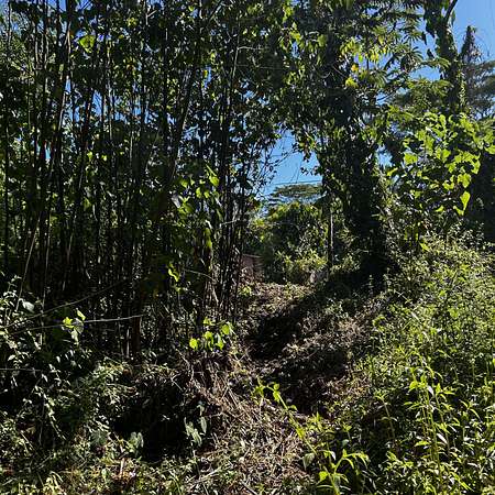 0.28 Acres of Land for Sale in Pahoa, Hawaii