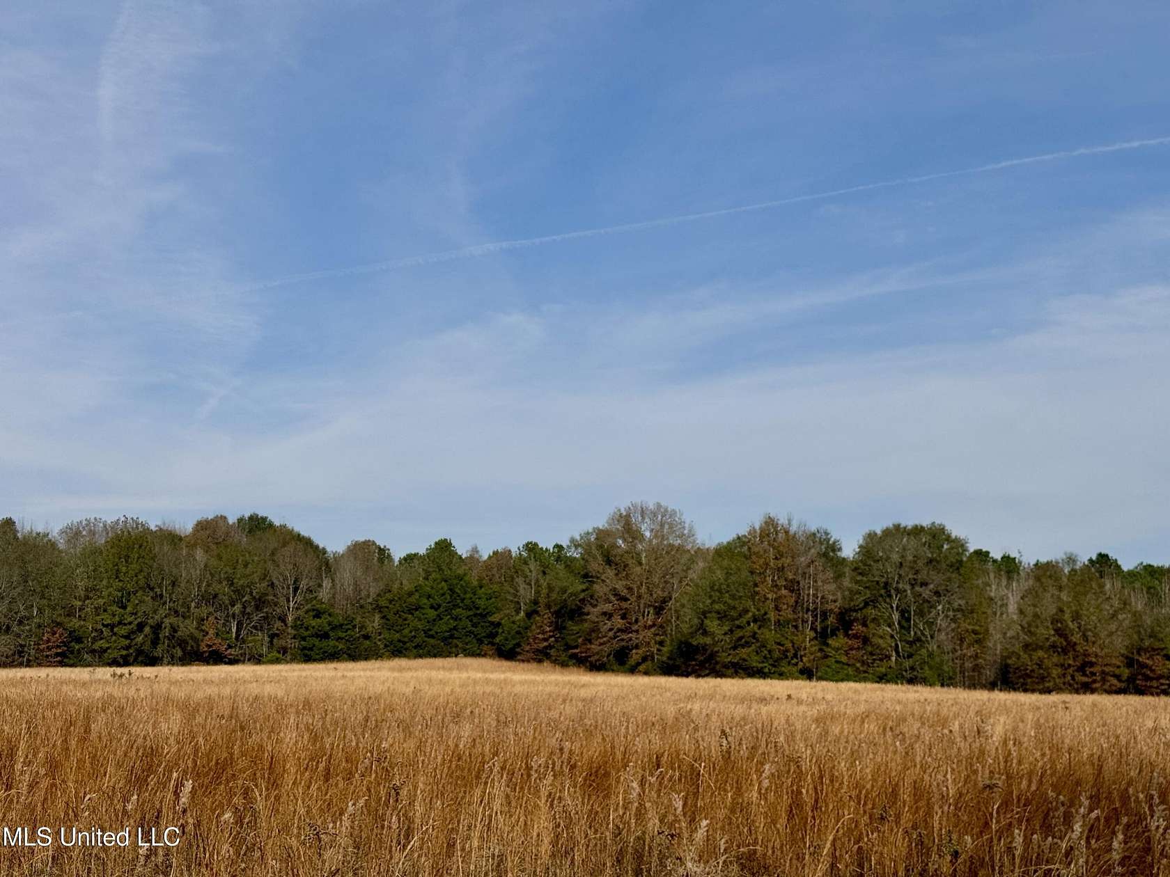 18 Acres of Land for Sale in Canton, Mississippi