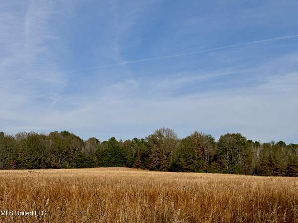 18 Acres of Land for Sale in Canton, Mississippi