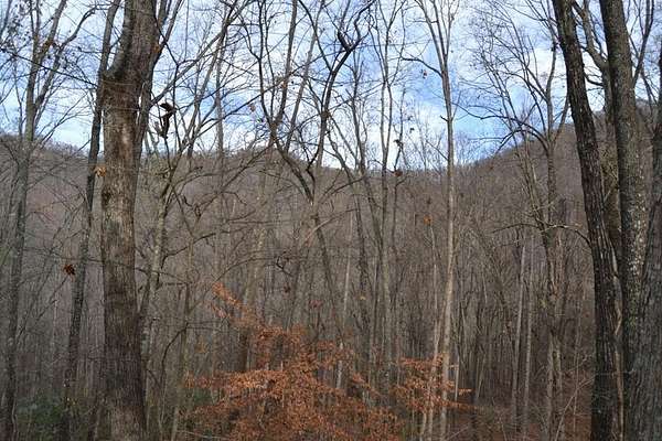 1.3 Acres of Residential Land for Sale in Franklin, North Carolina