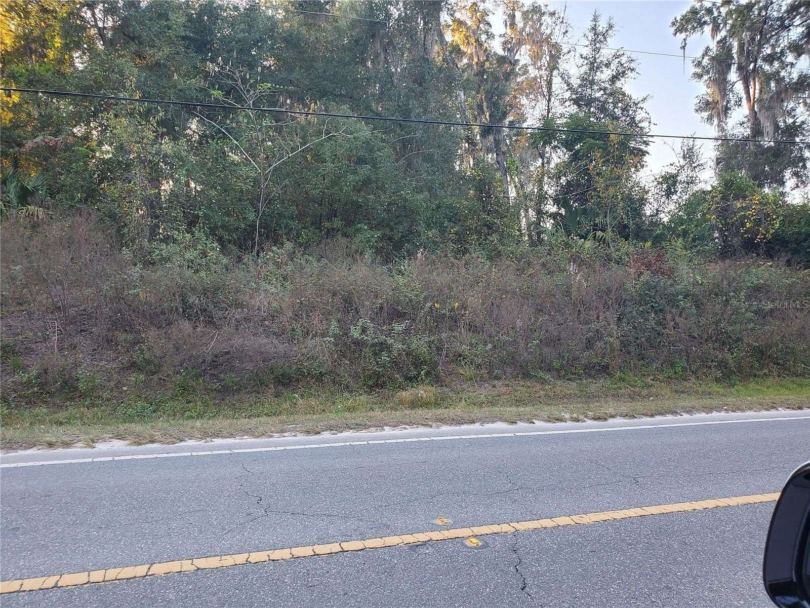 0.2 Acres of Residential Land for Sale in Belleview, Florida