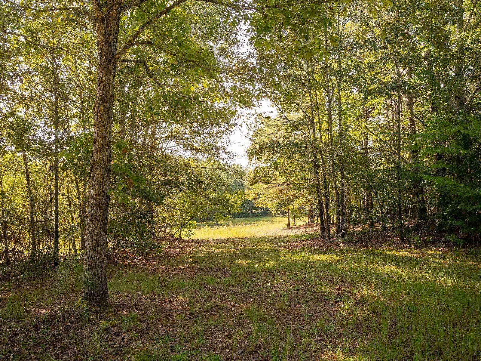 7.57 Acres of Land for Sale in Liberty, South Carolina