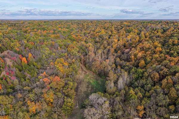 245 Acres of Recreational Land for Sale in Fieldon, Illinois