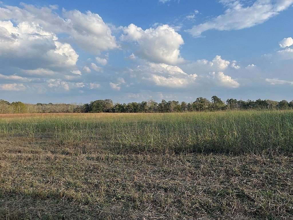 1.5 Acres of Land for Sale in New Ulm, Texas