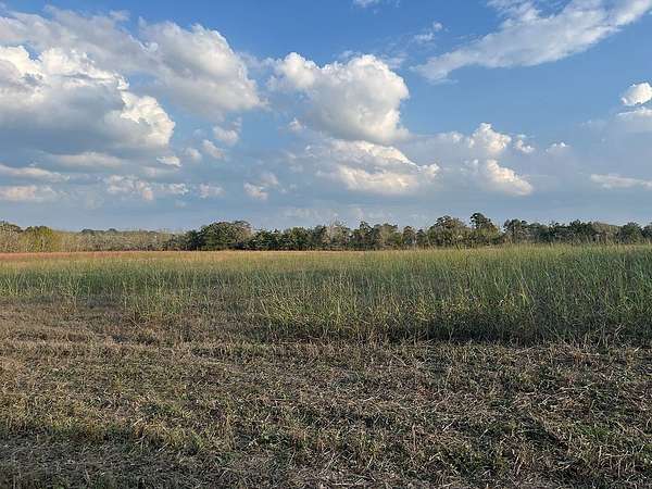 1.5 Acres of Land for Sale in New Ulm, Texas