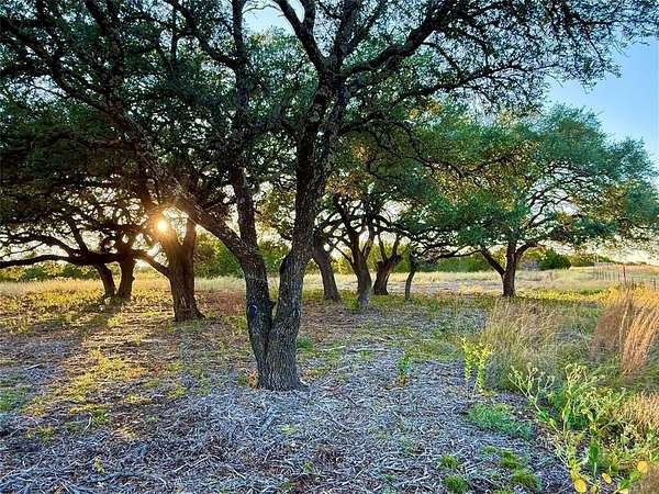 92 Acres of Recreational Land for Sale in Jonesboro, Texas