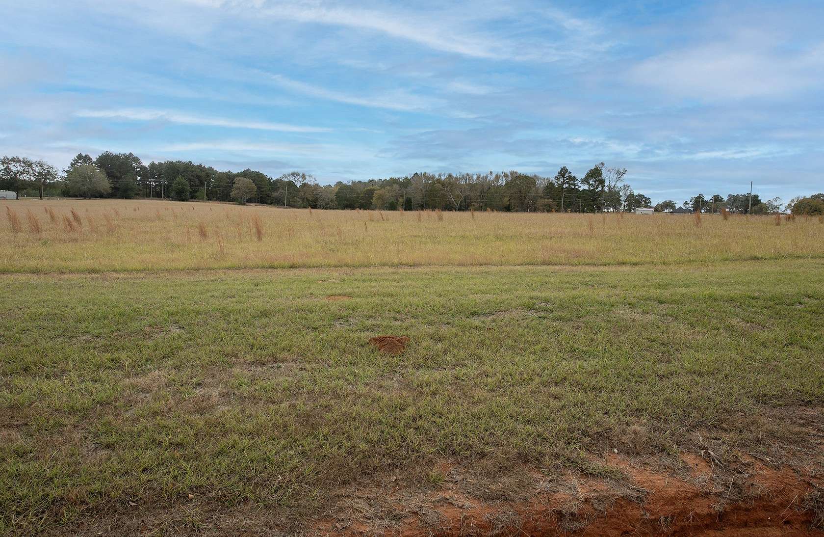 5 Acres of Land for Sale in Frankston, Texas