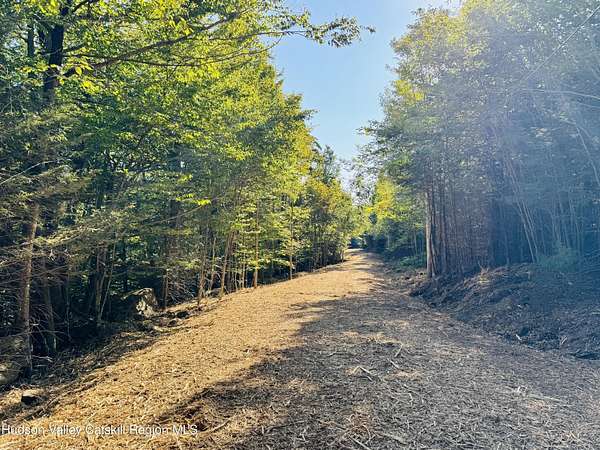 4.7 Acres of Residential Land for Sale in Elka Park, New York