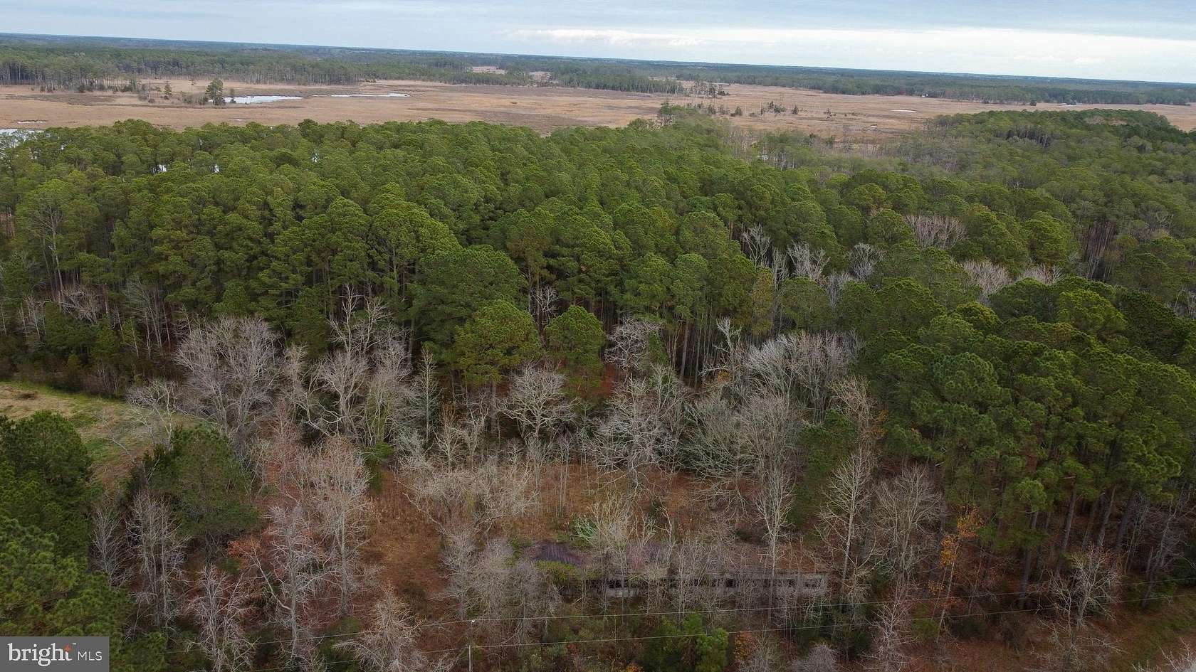 7.12 Acres of Recreational Land for Sale in Marion, Maryland