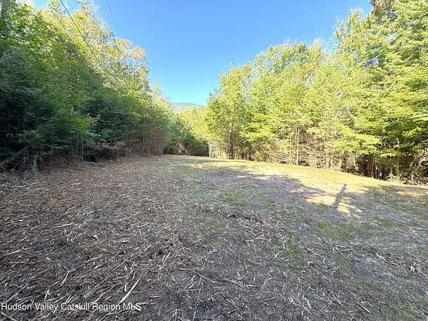 5 Acres of Residential Land for Sale in Elka Park, New York