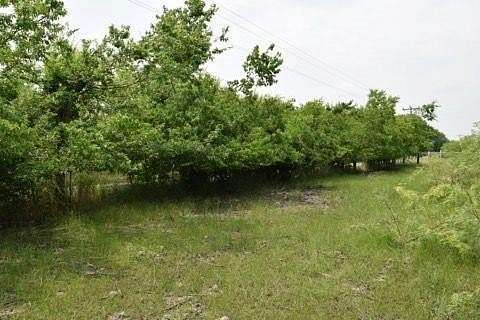 6 Acres of Land for Sale in Terrell, Texas