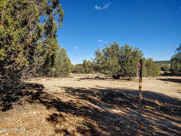 2.3 Acres of Residential Land for Sale in Taylor, Arizona