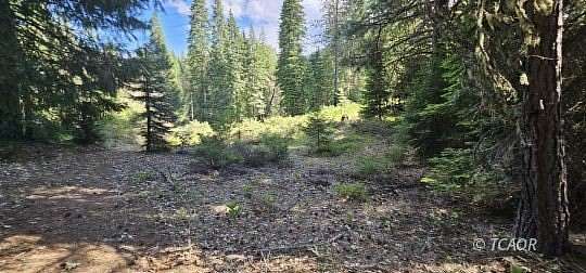 5 Acres of Land for Sale in Wildwood, California