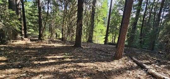 5 Acres of Land for Sale in Wildwood, California