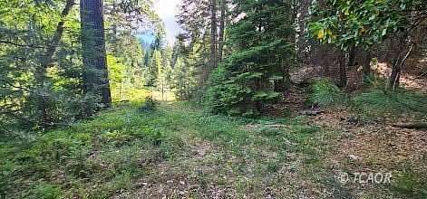 5 Acres of Land for Sale in Wildwood, California