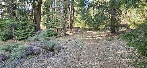 5 Acres of Land for Sale in Wildwood, California