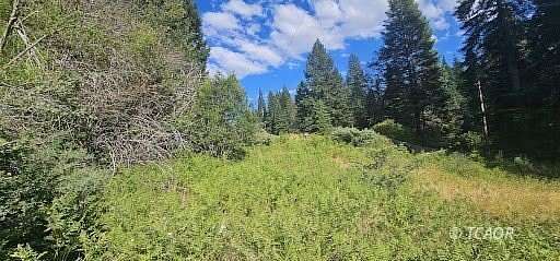 5 Acres of Land for Sale in Wildwood, California