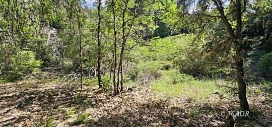 5 Acres of Land for Sale in Wildwood, California