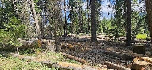 5 Acres of Land for Sale in Wildwood, California