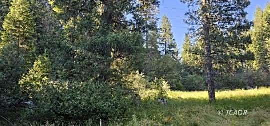 5 Acres of Land for Sale in Wildwood, California