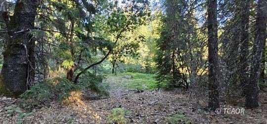 5 Acres of Land for Sale in Wildwood, California