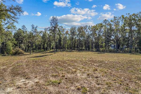 7 Acres of Residential Land for Sale in Newberry, Florida