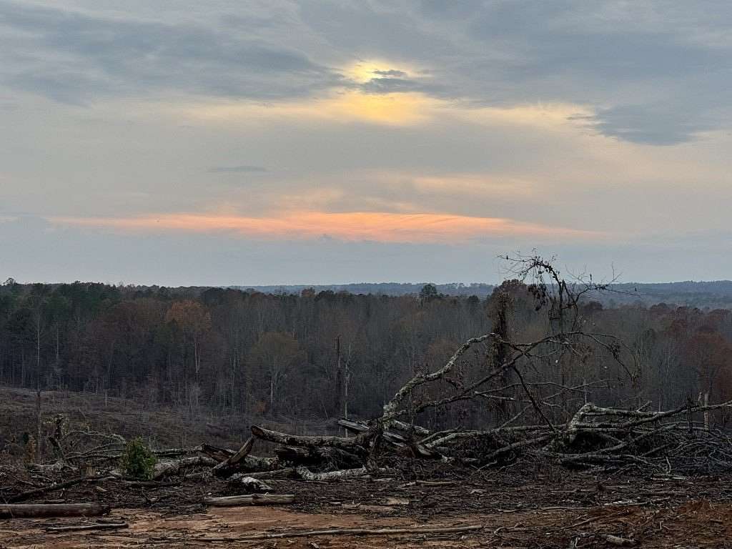 16 Acres of Land for Sale in Paris, Mississippi
