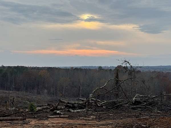 16 Acres of Land for Sale in Paris, Mississippi