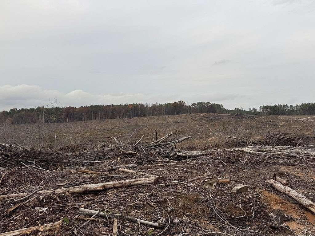 16 Acres of Land for Sale in Paris, Mississippi