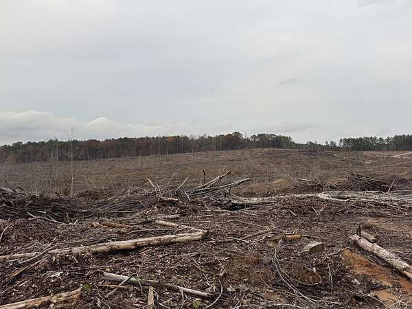 16 Acres of Land for Sale in Paris, Mississippi