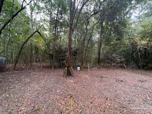 23 Acres of Land for Sale in Bonifay, Florida