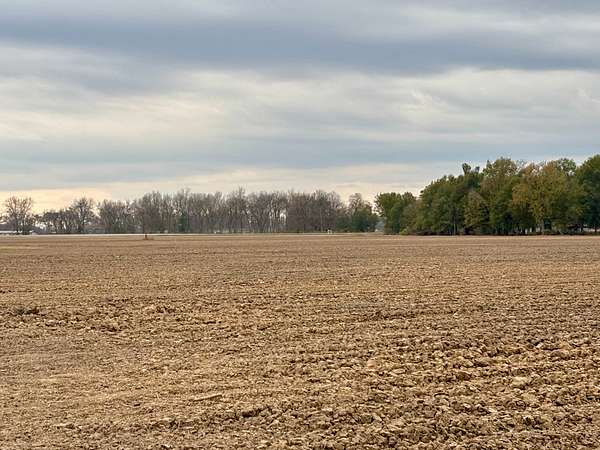 125 Acres of Agricultural Land for Sale in Newellton, Louisiana
