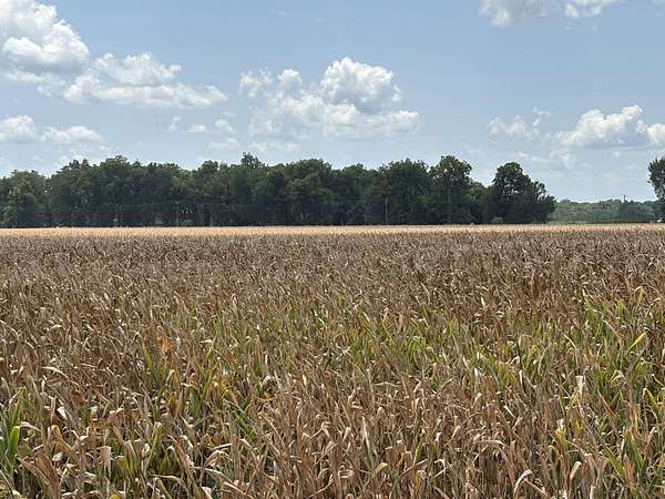 125 Acres of Agricultural Land for Sale in Newellton, Louisiana