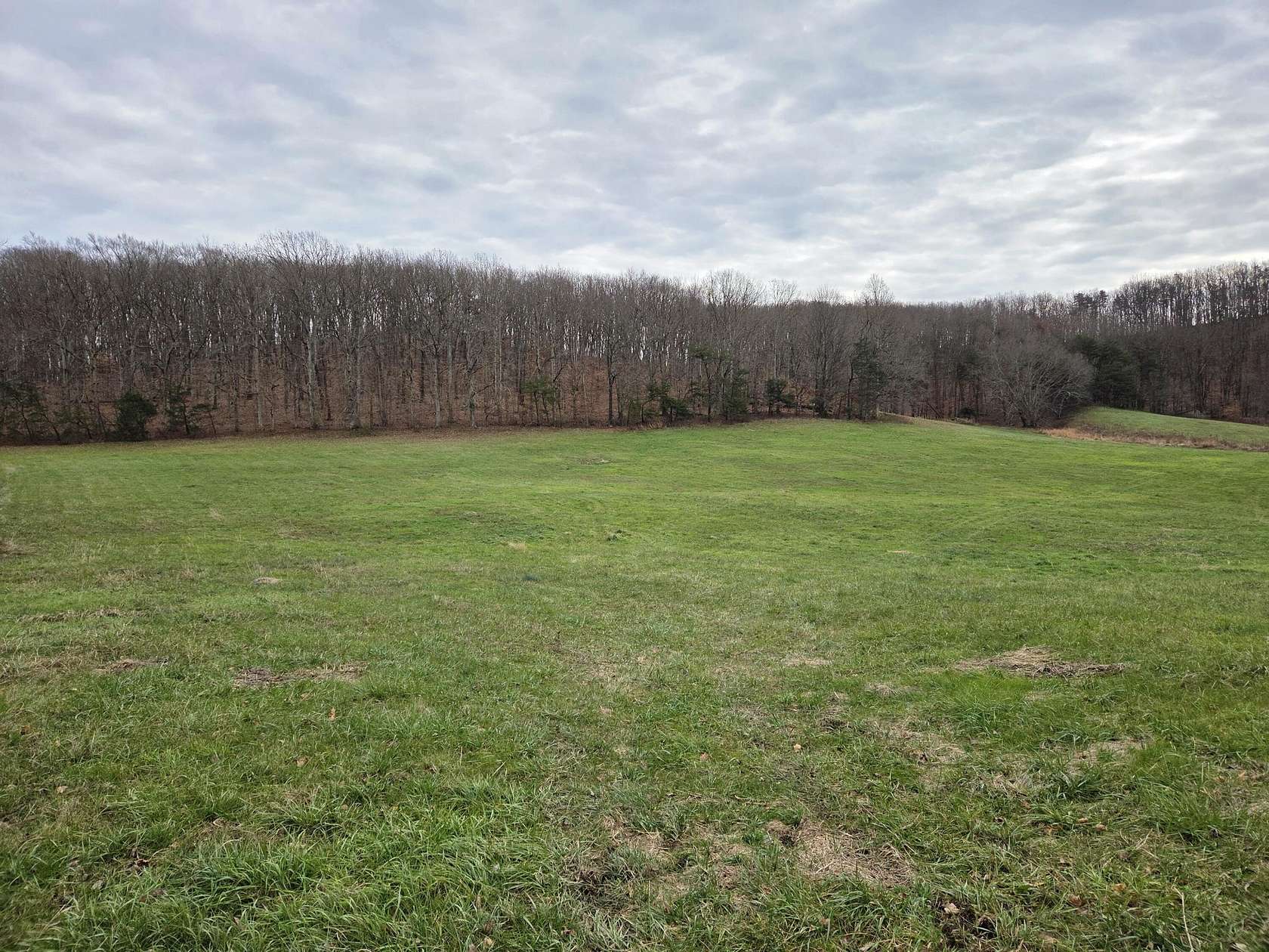 90 Acres of Land for Sale in Owingsville, Kentucky