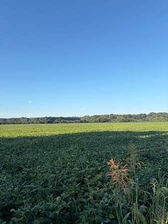 75 Acres of Agricultural Land for Sale in Ecru, Mississippi