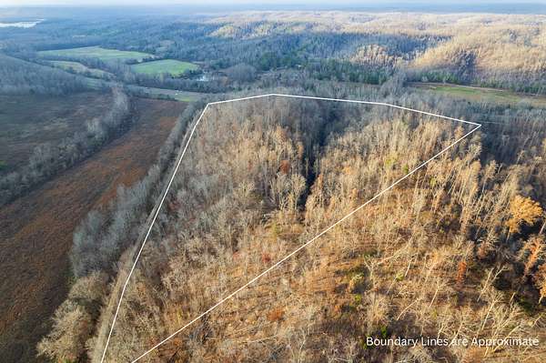28.7 Acres of Recreational Land for Sale in Waverly, Tennessee