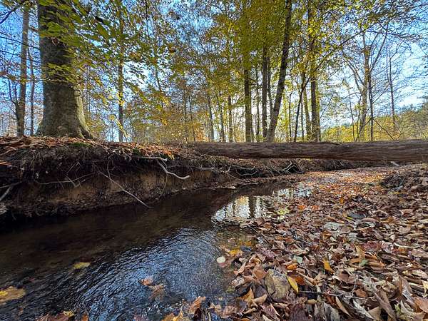 21 Acres of Recreational Land for Sale in Daviston, Alabama