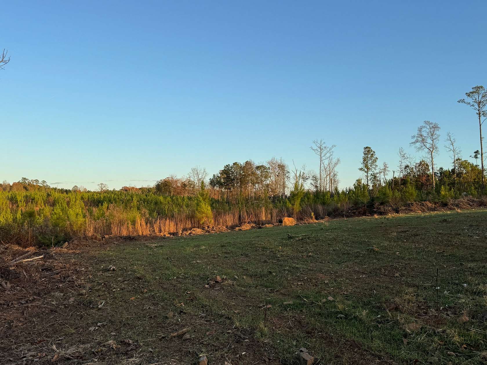 21 Acres of Recreational Land for Sale in Daviston, Alabama