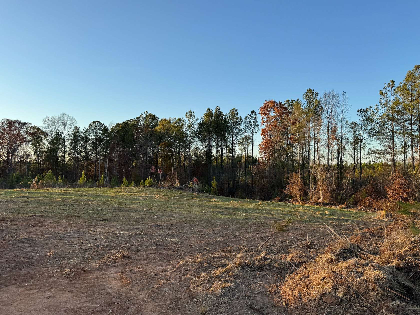 21 Acres of Recreational & Residential Land for Sale in Daviston, Alabama