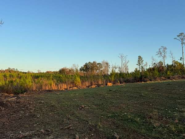 21 Acres of Recreational Land for Sale in Daviston, Alabama