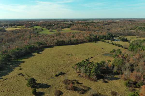 100 Acres of Land for Sale in Raymondville, Missouri