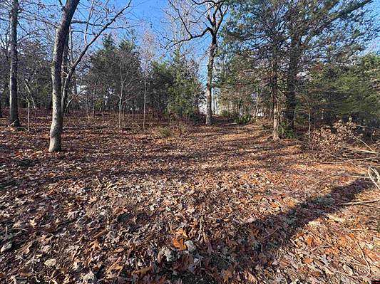 3.14 Acres of Land for Sale in Gamaliel, Arkansas