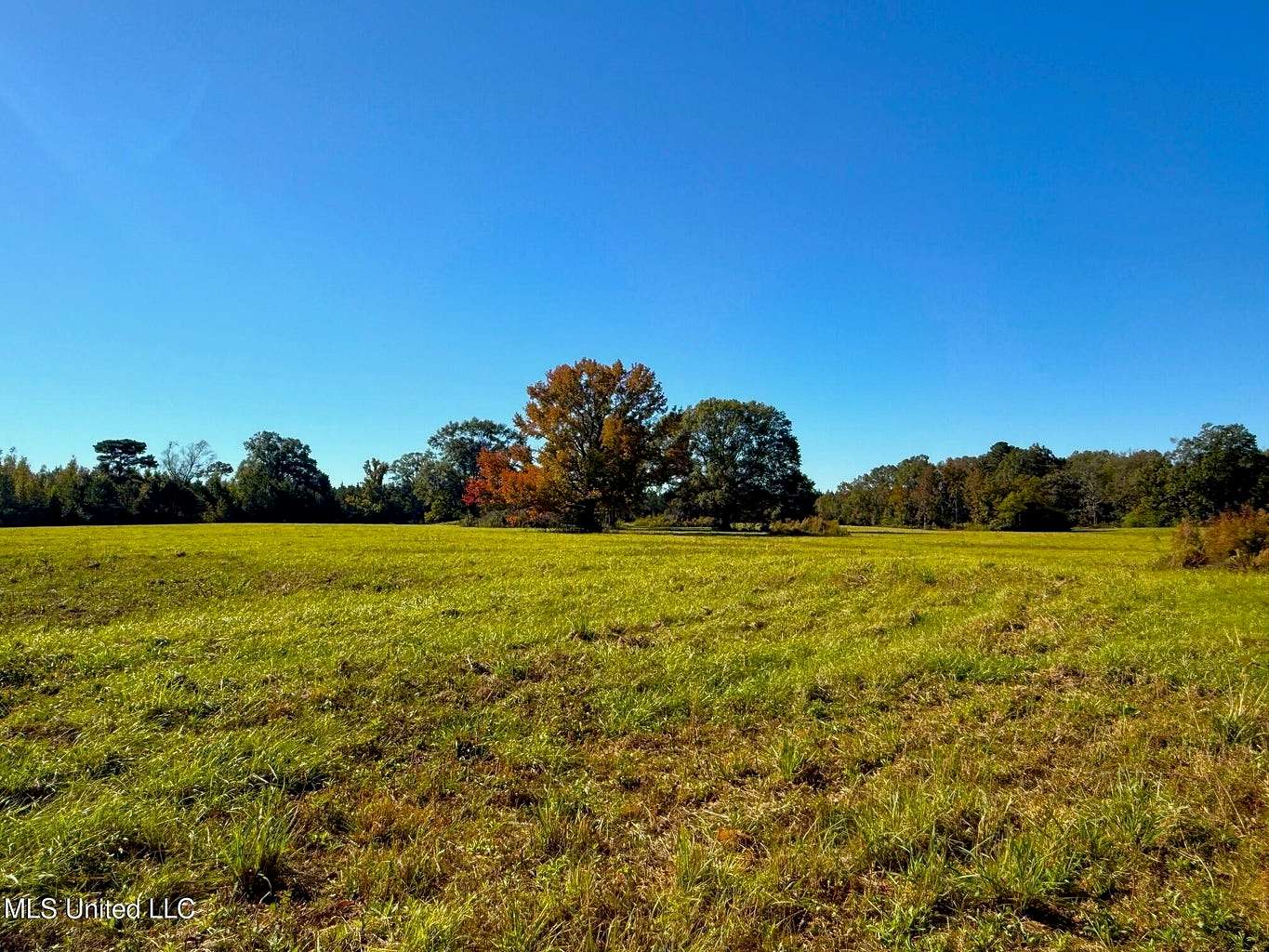 12 Acres of Land for Sale in Magnolia, Mississippi