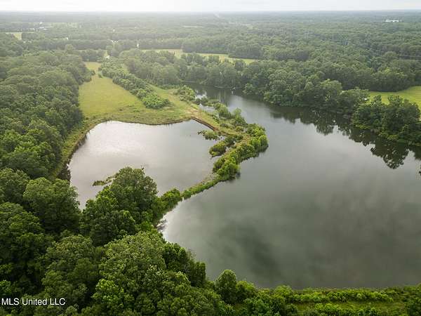 78 Acres of Land for Sale in Zachary, Louisiana