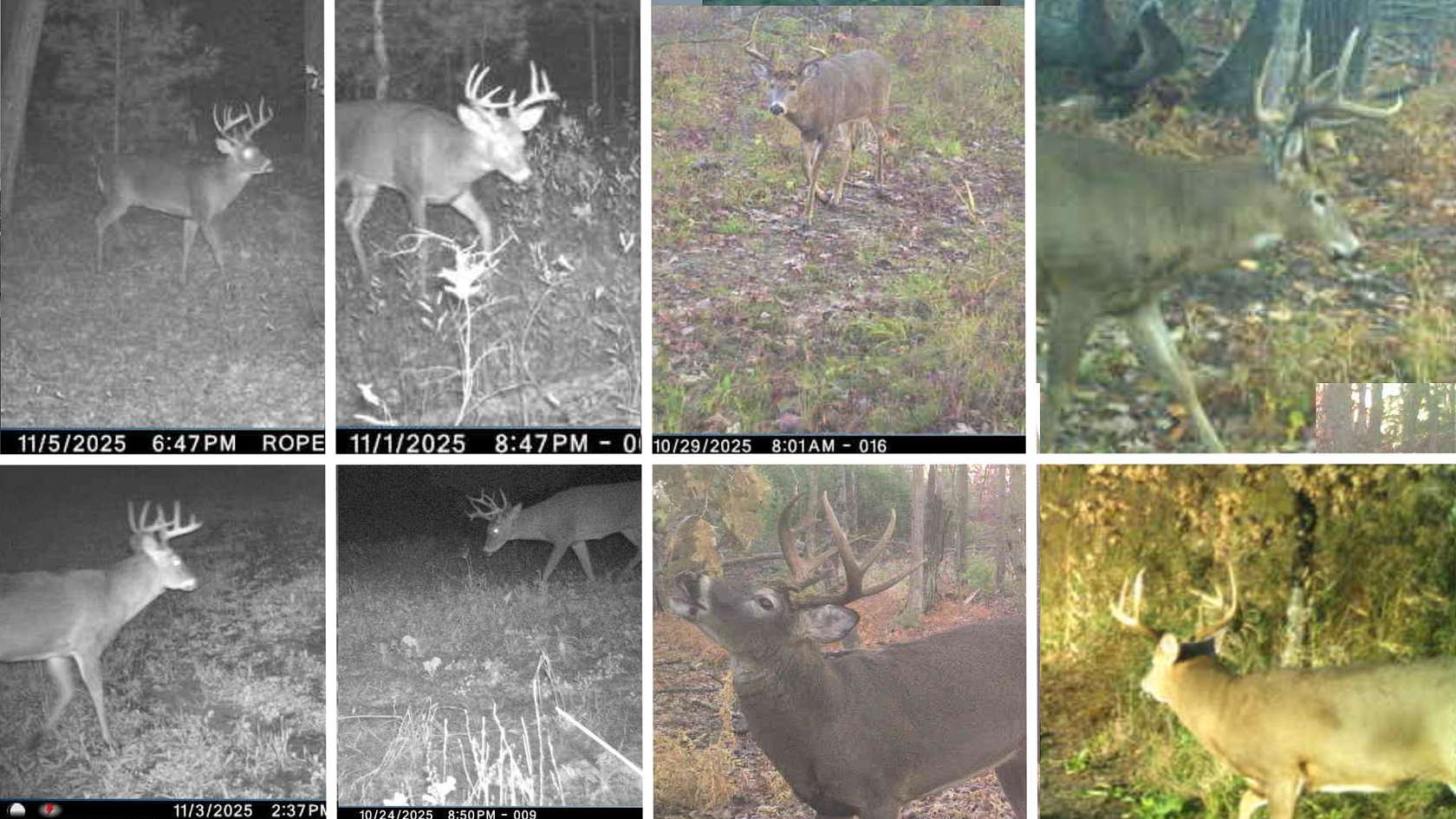 205 Acres of Recreational Land with Home for Sale in New Lisbon, Wisconsin