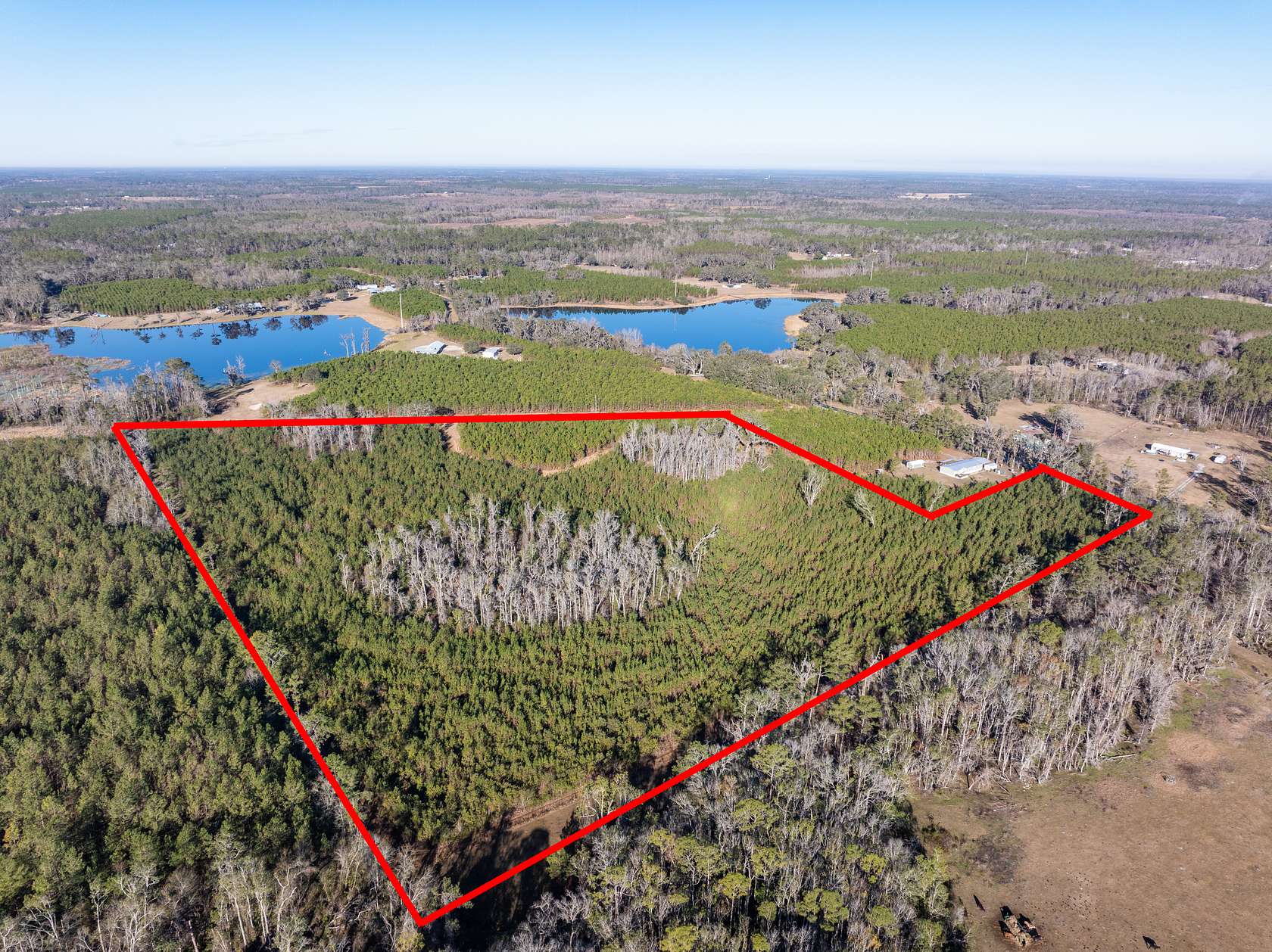 29 Acres of Land for Sale in Live Oak, Florida