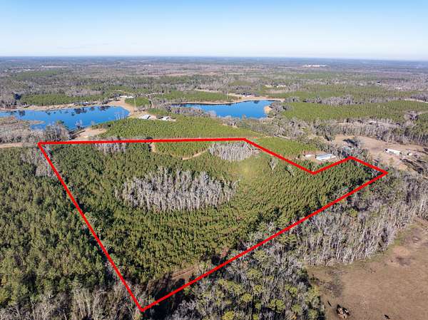 29 Acres of Land for Sale in Live Oak, Florida