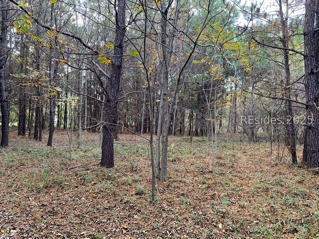 1 Acre of Land for Sale in Saint Helena Island, South Carolina