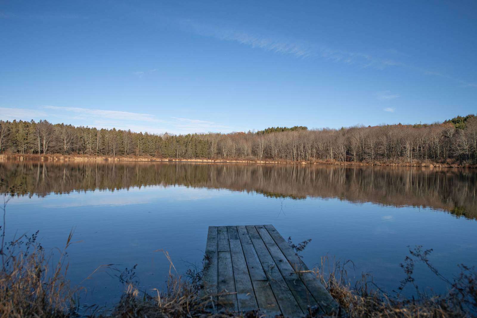 14 Acres of Agricultural Land for Sale in Masonville, New York