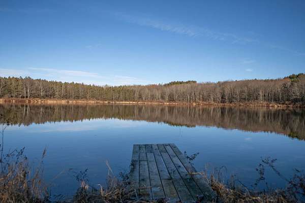 14 Acres of Agricultural Land for Sale in Masonville, New York